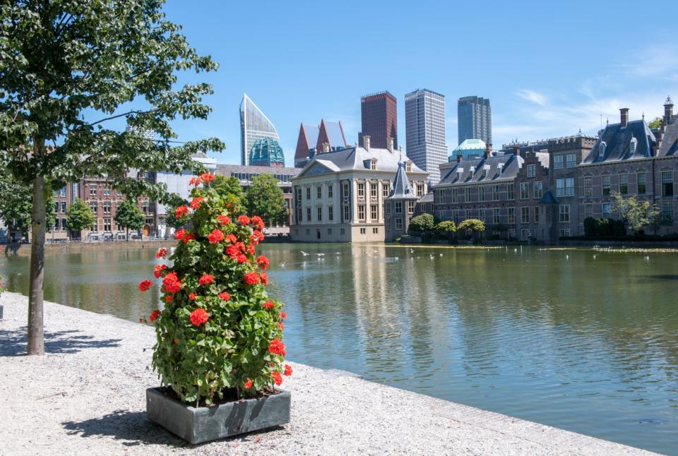 De Hofvijver en het Binnenhofcomplex met op de voorgrond een bloemenstruik.