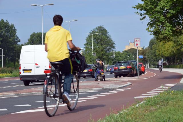 Fietser op de rug gezien op fietspad, ernaast rijbanen met auto's