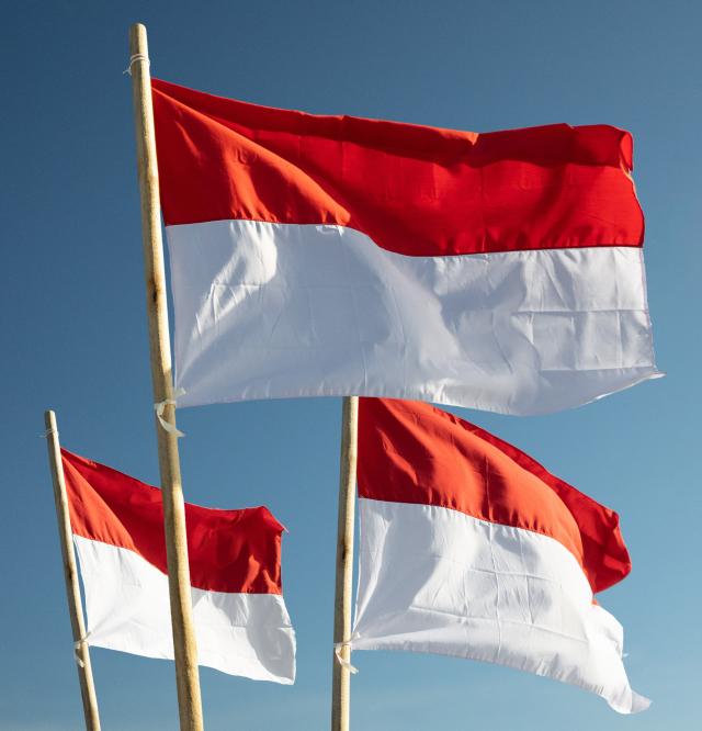 Vlag van Indonesië